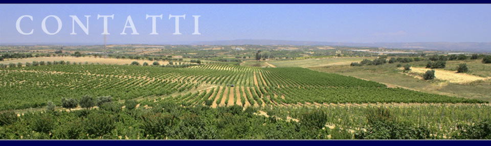 contatti