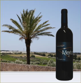 i vini di tenuta dei fossi