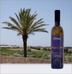 i vini di tenuta dei fossi