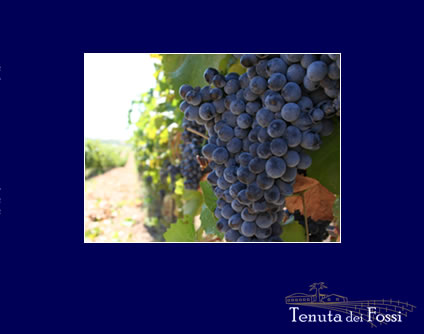 la tenuta